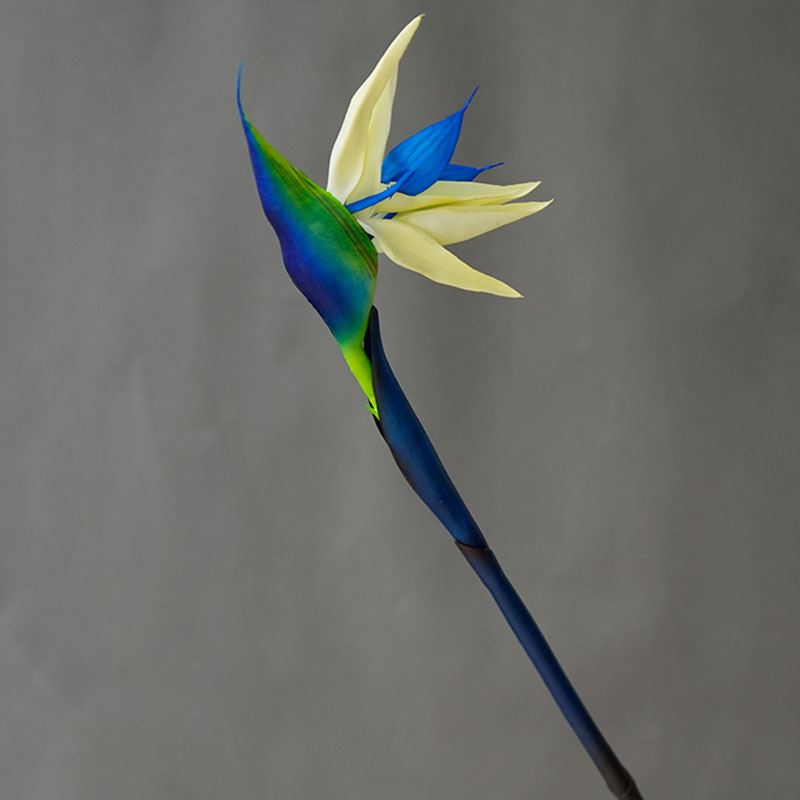 1PC Kunstmatige Paradijsvogel  - Bird Paradise Strelitzia recensie en prijs