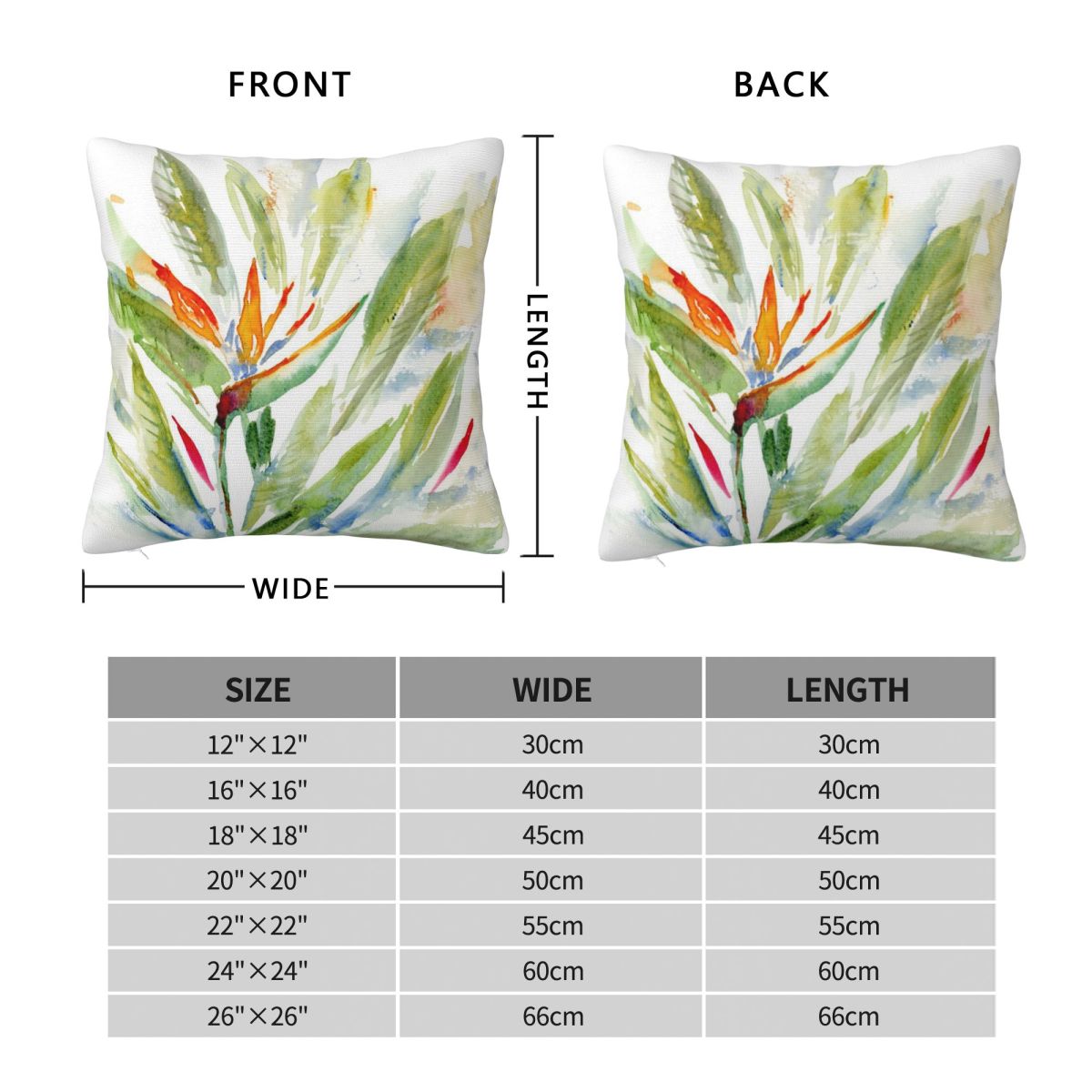 Bird Of Paradise Strelitzia vi - Bird Paradise Strelitzia recensie en prijs