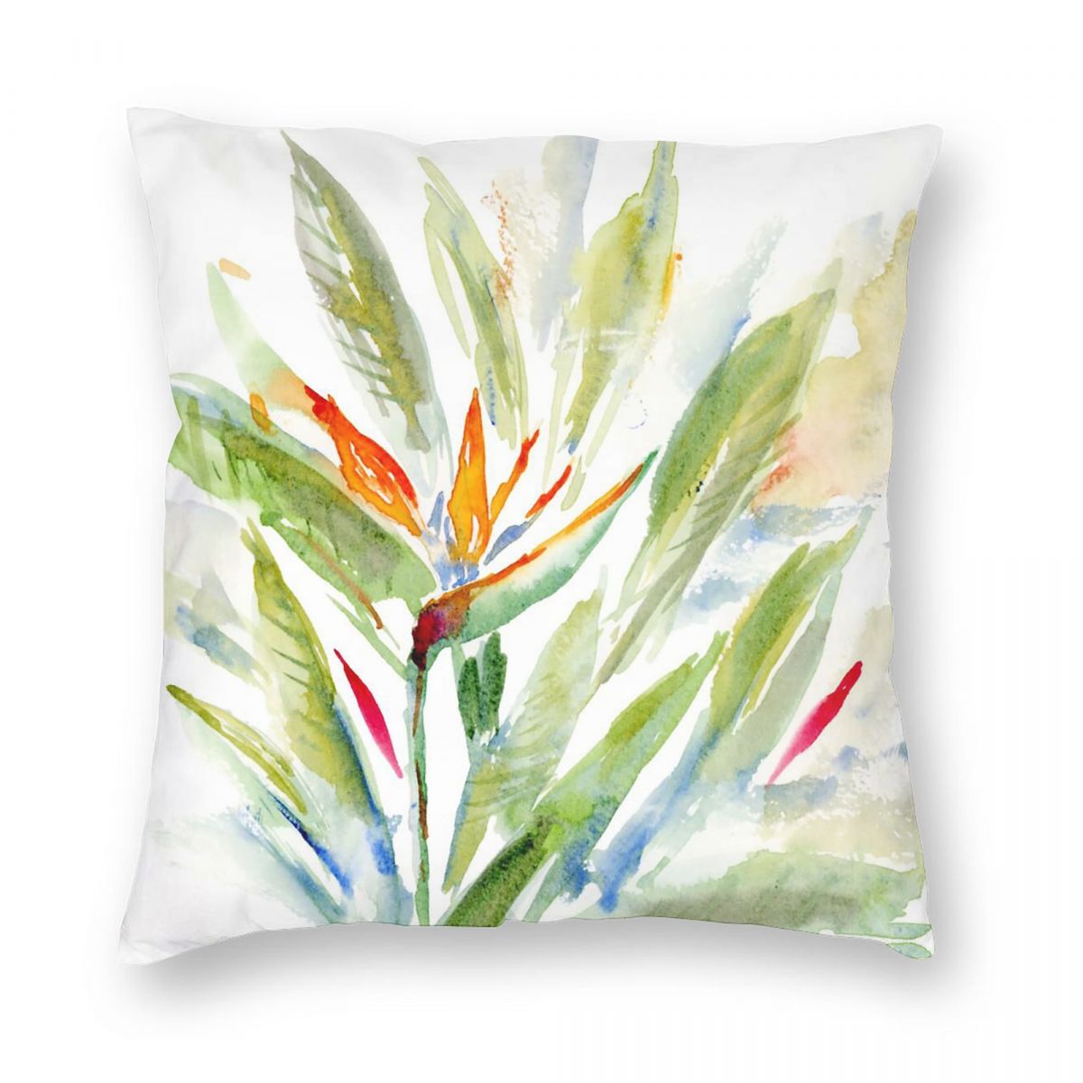 Bird Of Paradise Strelitzia vi - Bird Paradise Strelitzia recensie en prijs