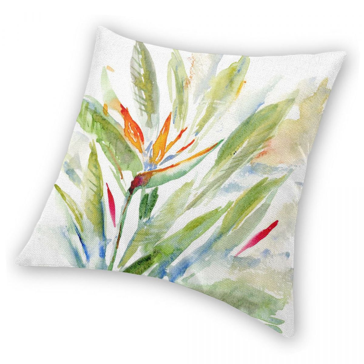 Bird Of Paradise Strelitzia vi - Bird Paradise Strelitzia recensie en prijs