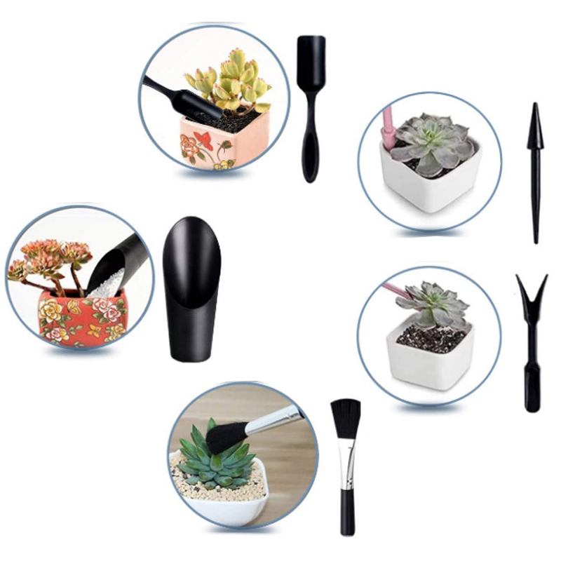 Mini Tuingereedschap Set Label - Echeveria Succulent recensie en prijs
