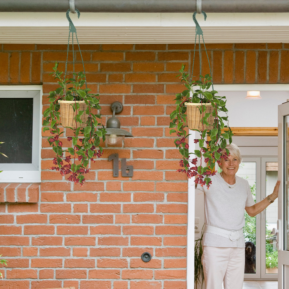 5 stuks hangende plantenhaken, - Spider Plant Hanging recensie en prijs