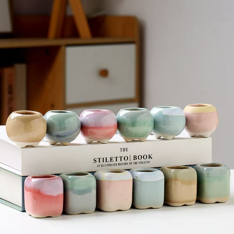 6 Stuks Mini Bloempot Vetplant - Echeveria Succulent recensie en prijs