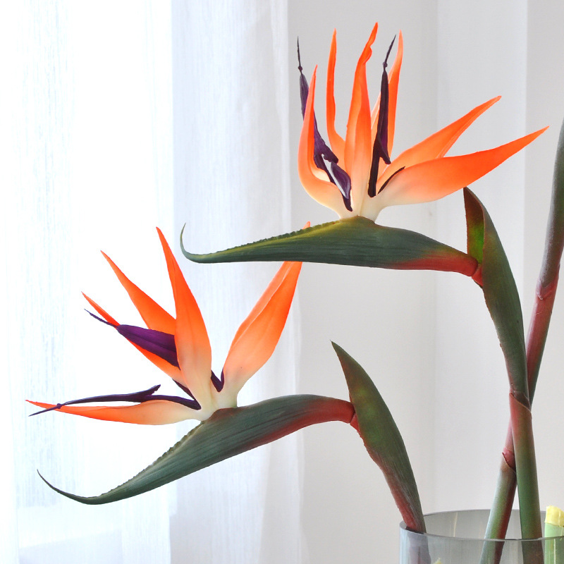 3 stks Kunstmatige Paradijsvog - Bird Paradise Strelitzia recensie en prijs