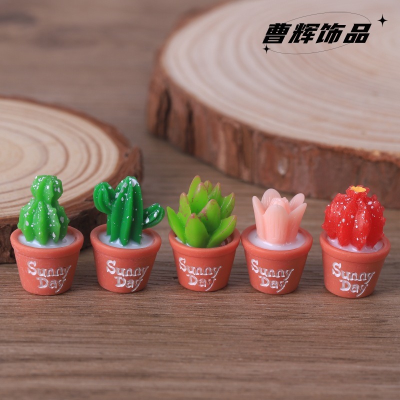 5 stks Simulatie sappige potpl - Echeveria Succulent recensie en prijs