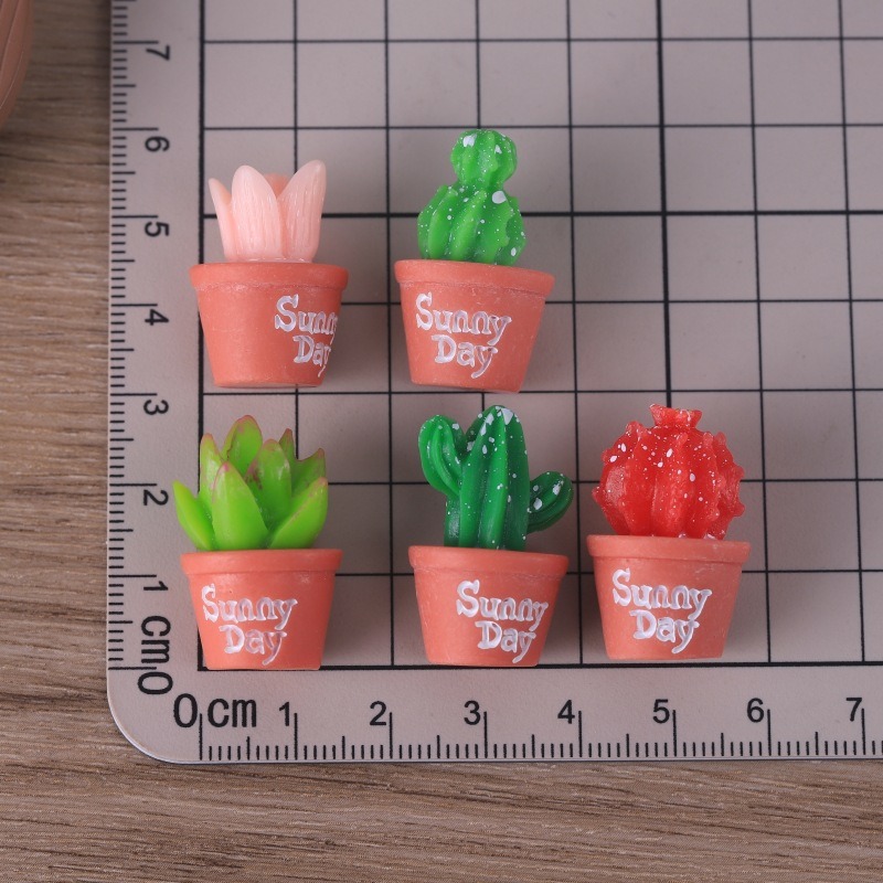 5 stks Simulatie sappige potpl - Echeveria Succulent recensie en prijs